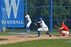 Baseball vs WPI  Wheaton College baseball vs Worcester Polytechnic Institute. - (Photo by Keith Nordstrom) : Wheaton, baseball
